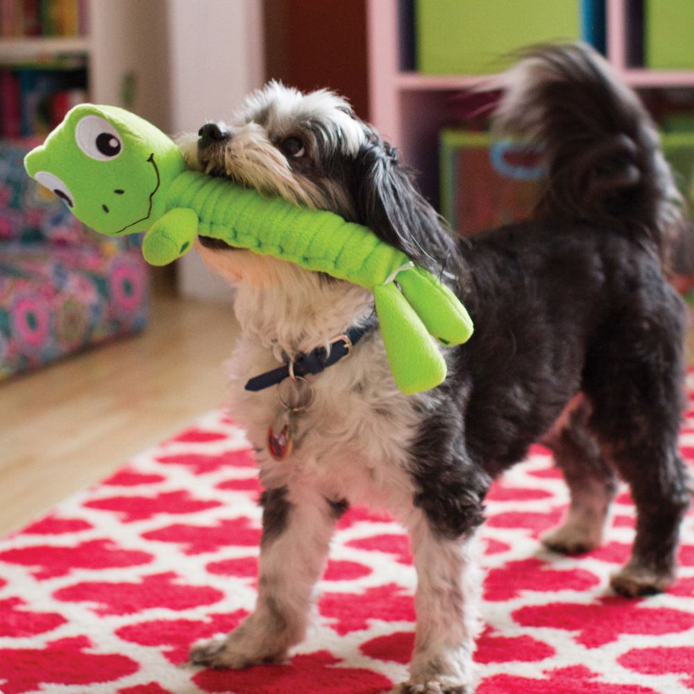 Brinquedo para Cães Feito com Lã Bendeez Turtle (Tartaruga) - VERDE - Kong
