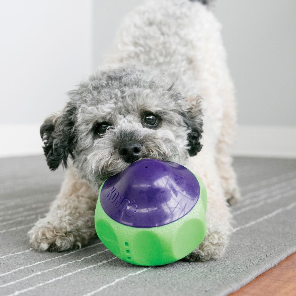 Brinquedo para Cães Babbler (Brinquedo Sonoro) - Kong