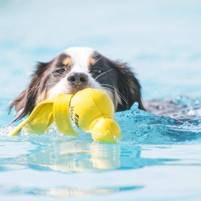 Brinquedo Aquático com Neoprene para Cães Wubba Wet - AMARELO - Kong