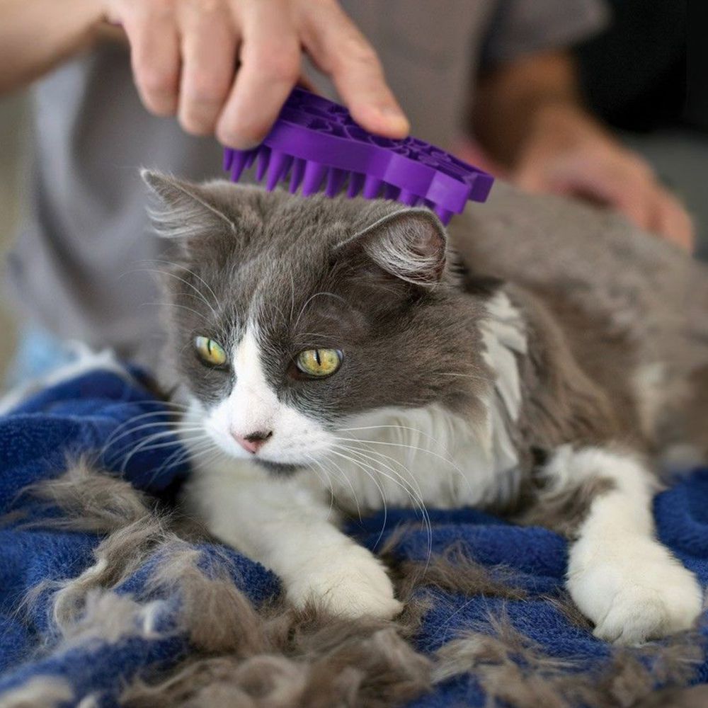 Escova de Borracha para Gatos ZoomGroom Brush - ROXO - Kong
