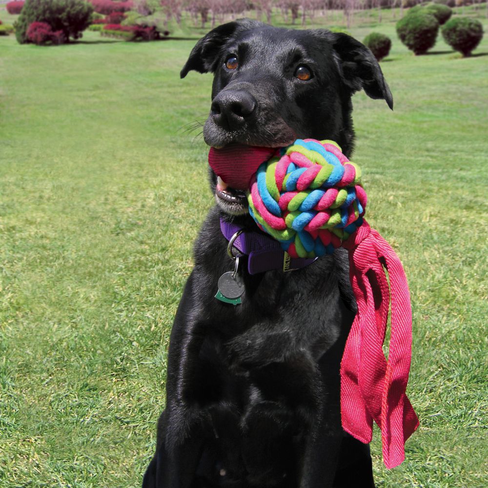 Brinquedo com Apito para Cães Wubba Weaves - ROSA - Kong