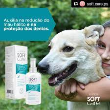 Solução Oral Dental Splash Spray (100 ml) - Soft Care