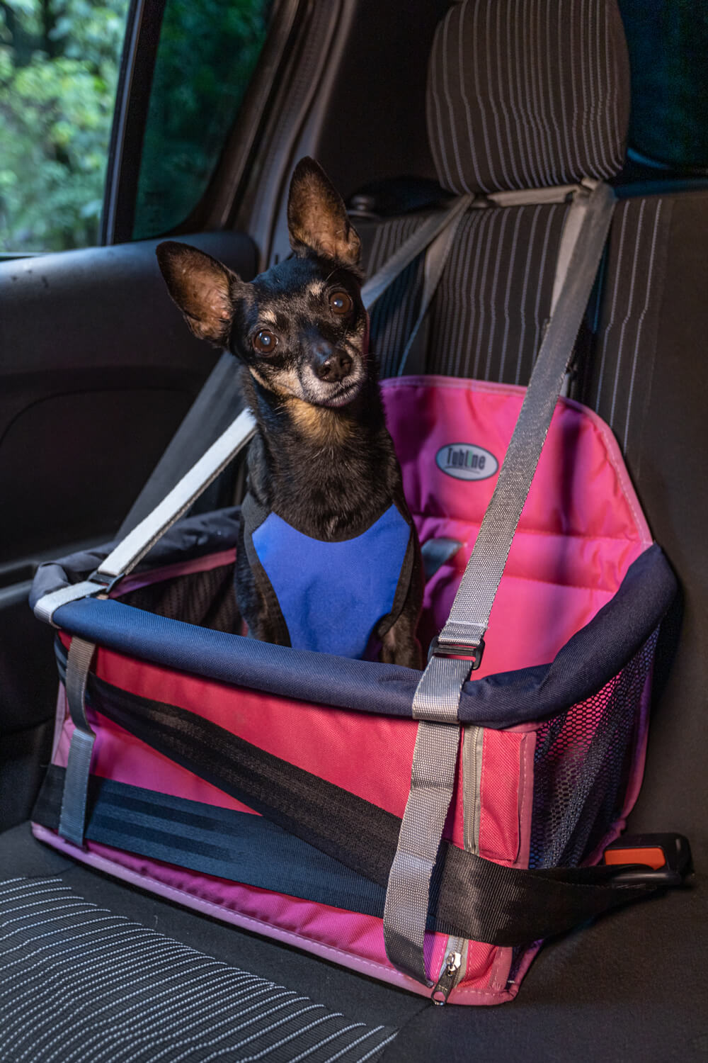 Assento Transpet para Cães e Gatos Vermelho - Tubline