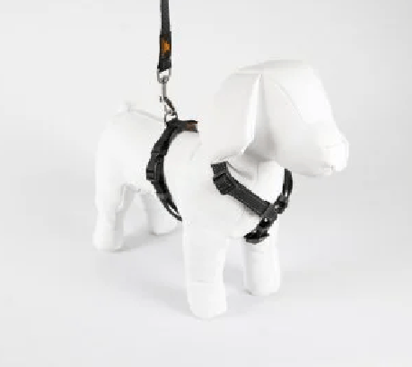 Peitoral com Guia Standard Reflex Villawalk (Preto) - Villa Pet