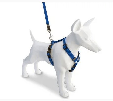 Peitoral com Guia Standard Reflex Villawalk (Azul) - Villa Pet