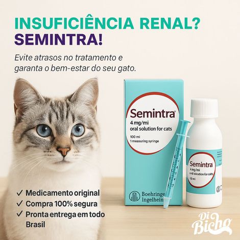 Imagem-do-WhatsApp-de-2025-05-05-a-s--22.33.32_33b8ec1b